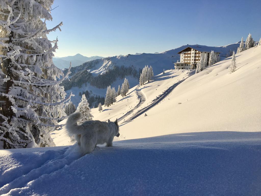 Ehrenbachhöhe on Top of the Mountain Kitzbühel Exterior foto